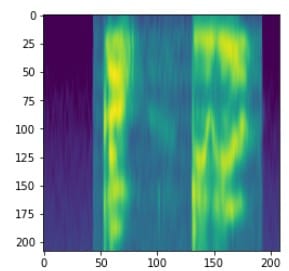 Spectrogram visualization with time and frequency masking