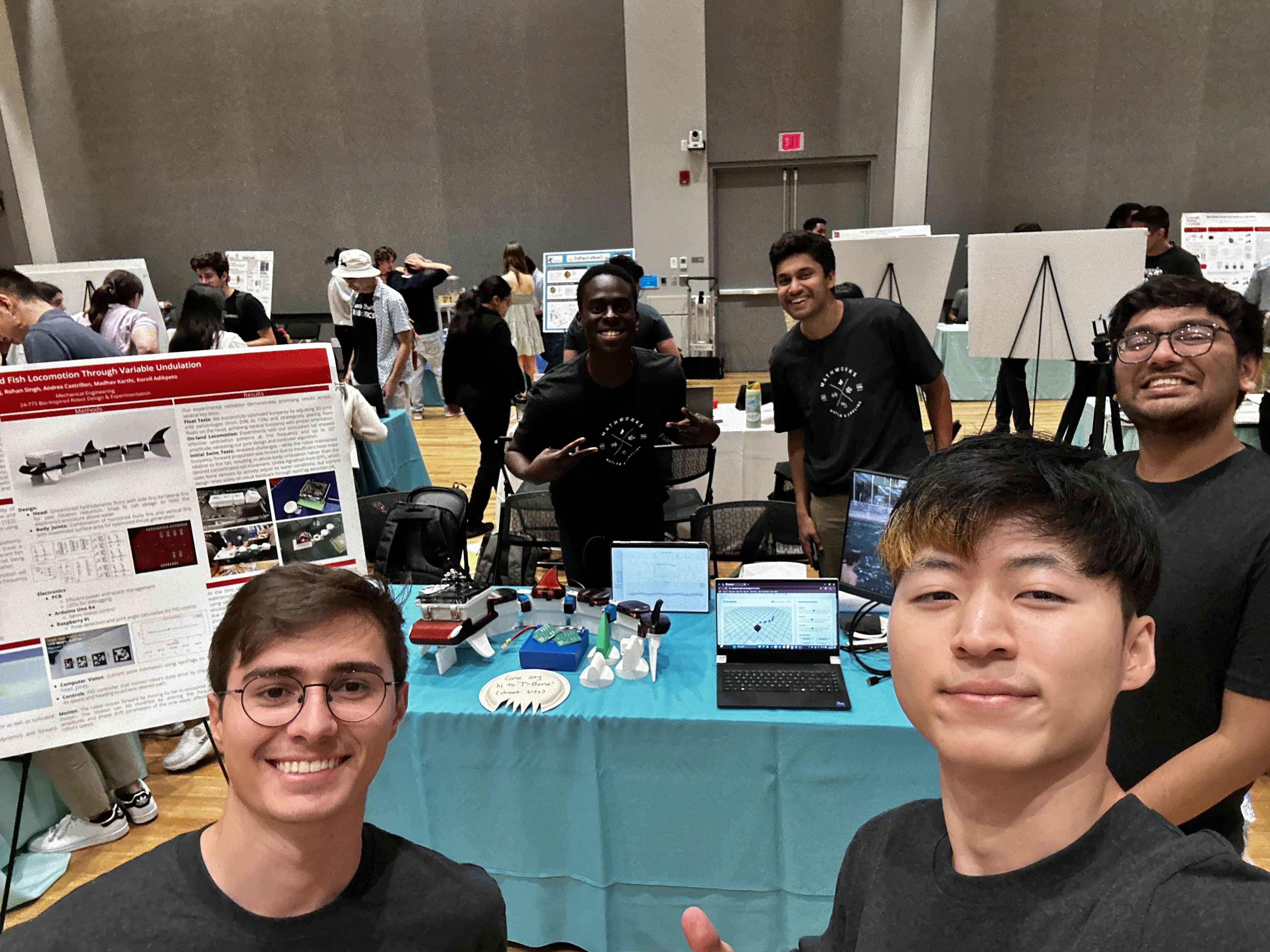 Complete T-Bone Fish Robot Group