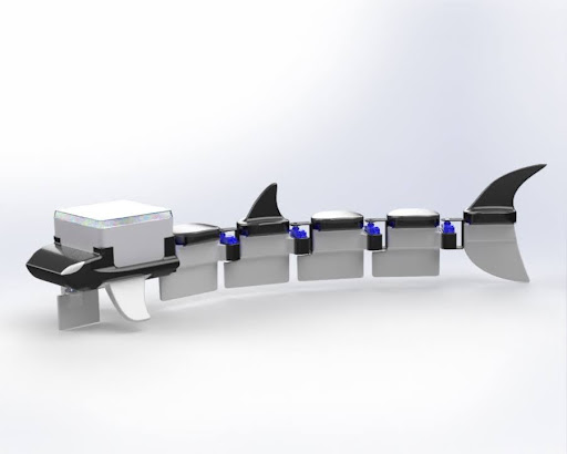 Bio-inspired Fish Locomotion Through Variable Undulation