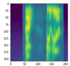 Spectrogram visualization with time and frequency masking