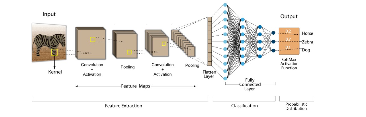 CNN architecture diagram